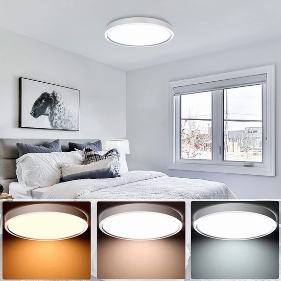  ceshu 12英寸 32W LED节能 可调色温 超薄圆形吸顶灯4.5折 31.99加元！