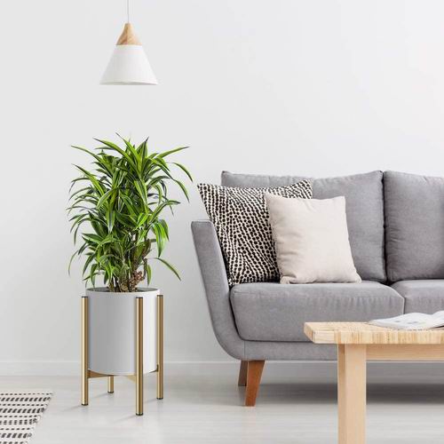  H HOMEXIN 可调节金属植物架 32.99-35.99加元（原价 45.99加元），2色可选！