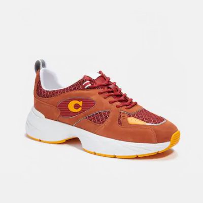 白菜价！Coach Outlet精选男女时尚休闲鞋、运动鞋、凉鞋、长短靴等2.4折起+包邮！凉鞋.5、老花拖鞋、运动鞋.5、粗跟乐福鞋.5、大黄靴2.5！