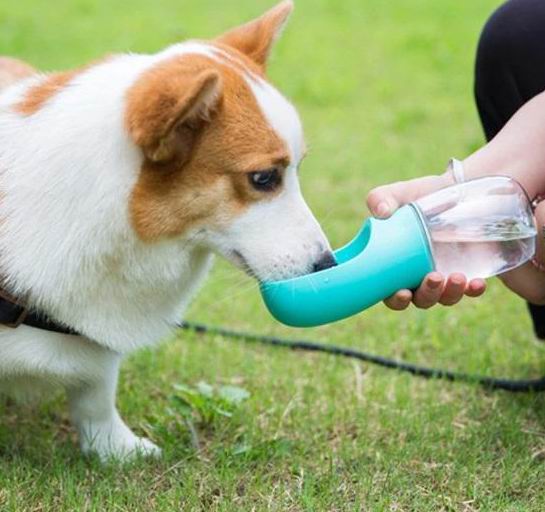  夏季遛狗必备! Wahl Canada便携式宠物喂水瓶350毫升 14.97加元（原价 18.99加元）