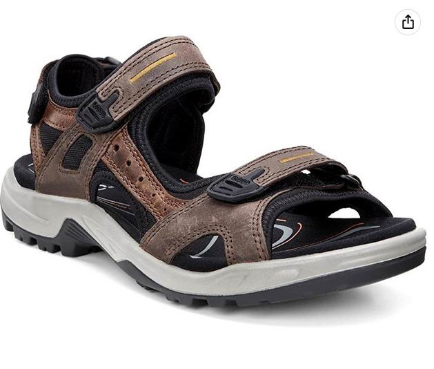  ECCO Yucatan Espresso 男士运动凉鞋 128.99加元（原价 169加元）