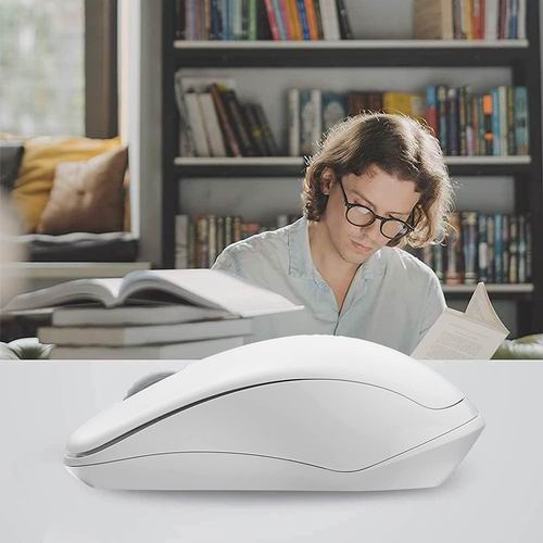  RAPOO 2.4G  无线静音鼠标 7.99加元（原价 15.99加元）！2色可选！