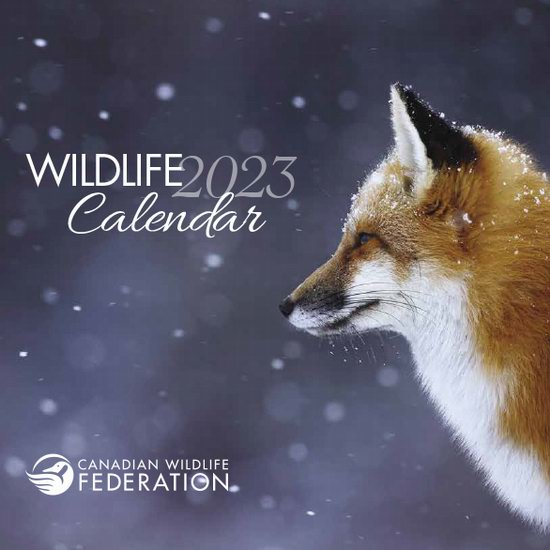  加拿大野生动物保护协会 免费赠送2023年野生动物月历！