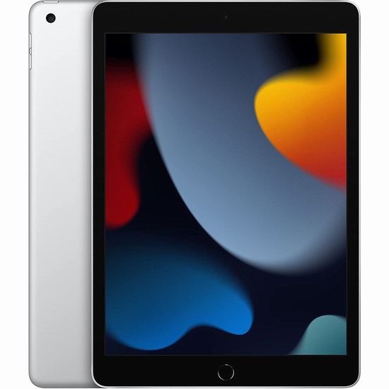  第九代 Apple iPad 9 10.2英寸平板电脑（64GB/256GB） 379-554加元包邮！2色可选！