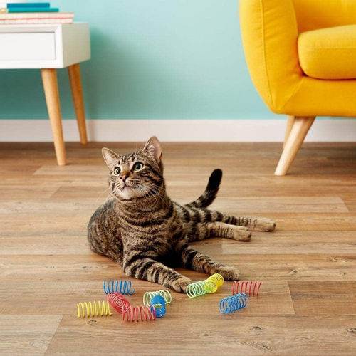  白菜价！Ethical Pet多彩弹簧猫玩具 3.74加元（原价 4.99加元）