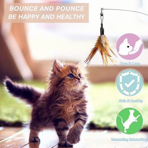  让猫咪爱不释手！Pawaboo 带小铃铛羽毛棒猫玩具 8.49加元（原价 17.95加元）