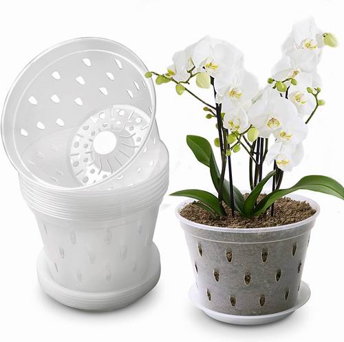 Lanccona 6.7英寸透明塑料兰花盆8件 29.99加元（原价 33.99加元）！每个仅3.74加元