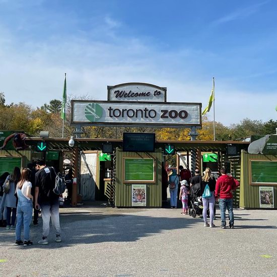  Toronto Zoo 多伦多动物园11月11日，门票5折！