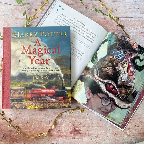  《Harry Potter – A Magical Year 哈利波特魔法之年 神奇的一年》硬壳精装版5.9折 26.12加元！