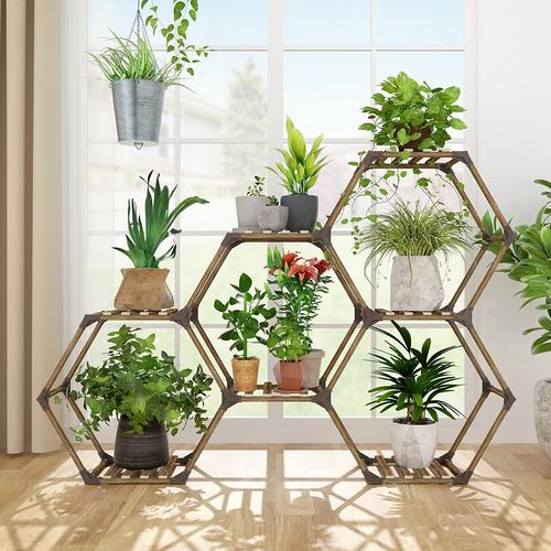  史低价！Allinside 室内室外木质六边形植物架  47.99加元（原价 69.99加元）