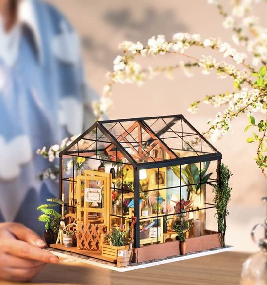  Rolife DIY 微型温室房屋模型 带带灯+可拆卸植物模型 47.99加元（原价 59.99加元）