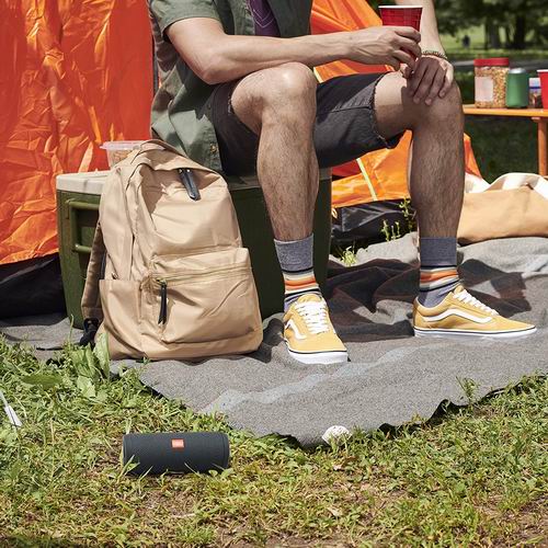  JBL Flip Essential 便携式防水蓝牙音箱 99.98加元（原价 139.98加元）