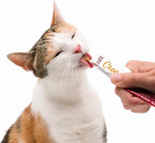  Catit 可舔奶油猫零食、饮水器 6.4折 6.74加元起
