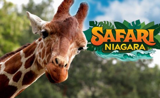 Safari Niagara 尼亚加拉野生动物园2-4人门票5.9折 53.1加元起！
