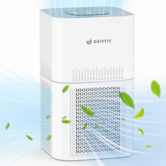  Dayette AP301 HEPA 1290呎大空间 空气净化器6折 89.99加元