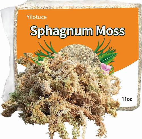  Yilotuce 11盎司植物用泥炭藓 29.99加元（原价 33.99加元）