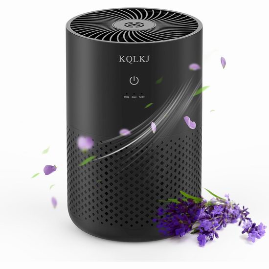  超级白菜！历史新低！KQLKJ KQ-31 588呎 家用空气净化器1.7折 20.99加元包邮！2色可选！