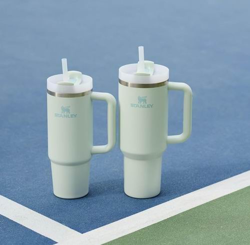  网红Stanley Quencher H2.O 30盎司 薄雾绿 带吸管 保温杯 34.5加元（官网原价 52加元）