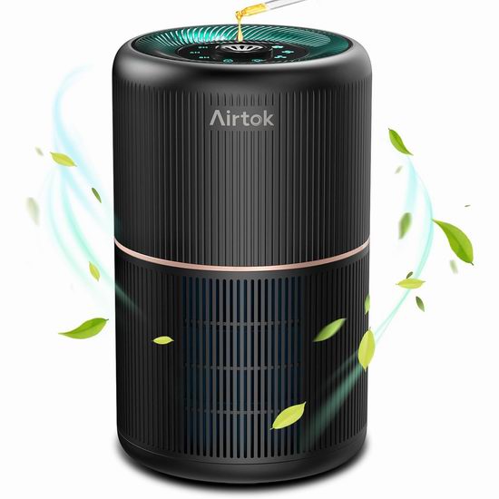  白菜价！历史新低！AIRTOK H13 True HEPA 空气净化器3.6折 43.49加元包邮！