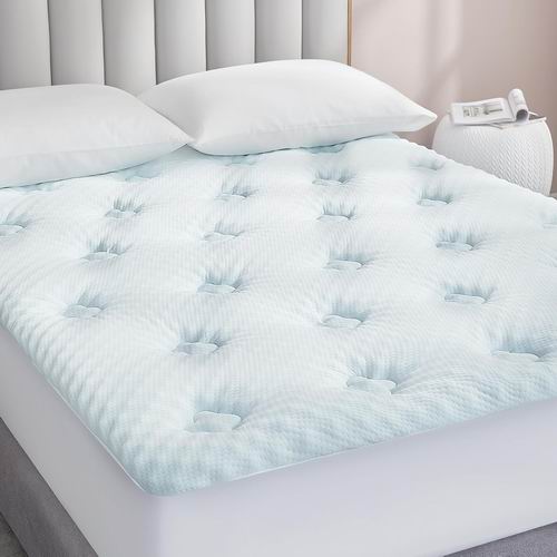  Hansleep Queen 记忆泡沫床垫罩 49.64加元（原价 69.99加元）