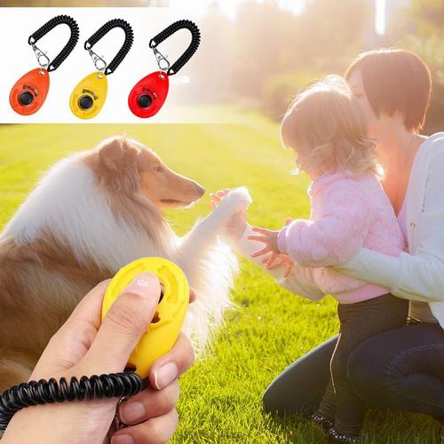  Pimoys 训练狗狗响片6件 适用于宠物狗猫鸟 10.99加元（原价 12.99加元）