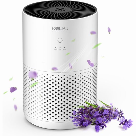  白菜价！历史新低！KQLKJ  KQ-31 空气净化器3.5折 20.99加元包邮！