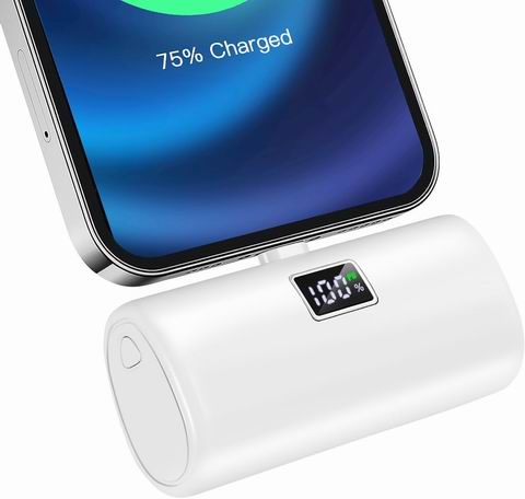  史低价！RIENOO 5000mAh 便携式 iPhone 充电器2.7折 22.99加元（原价 85.99加元）