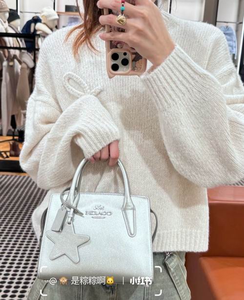  Coach 奥莱 Mollie  25 金属色托特包 229加元（原价 460加元）
