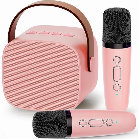 白菜价!历史新低!IROO 双无线话筒 便携式迷你蓝牙卡拉OK机2.7折 13.49加元!3色可选!