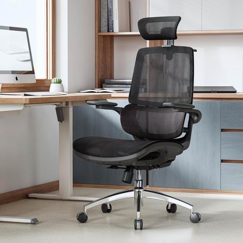 史低价！SIHOO M59AS 人体工学办公椅 带3D翻转扶手 269.99加元（原价 349.99加元）！2色可选