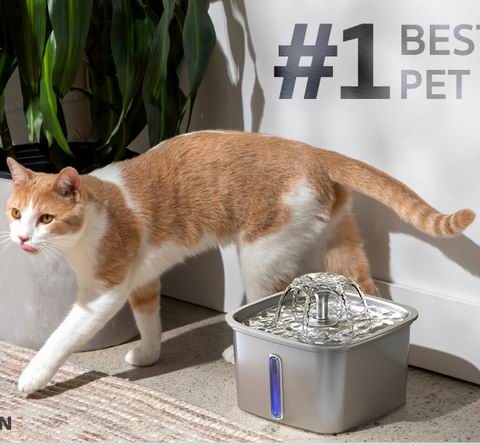  创新奖！Veken 2.8升不锈钢猫咪/宠物饮水器 39.99加元（原价 45.99加元 ）