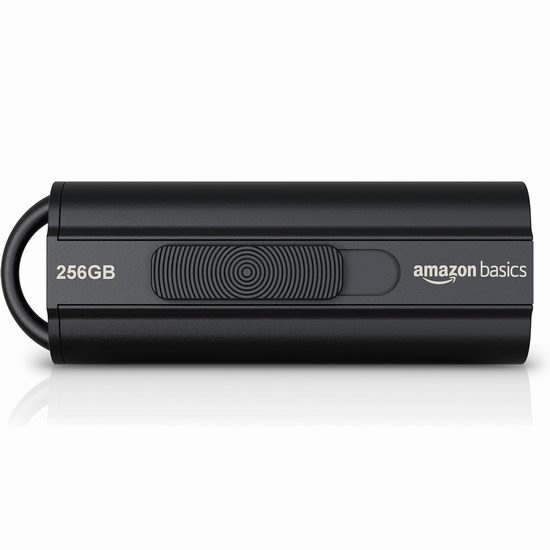  历史新低！Amazon Basics 256GB USB 3.1 大容量闪存盘/U盘6.9折 21.99加元！