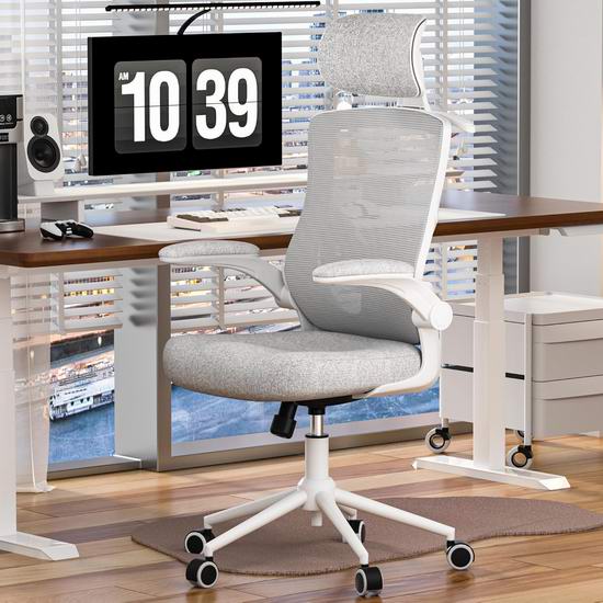 历史新低!FOKESUN 高靠背人体工学办公椅4.8折 109.5加元包邮!2色可选!