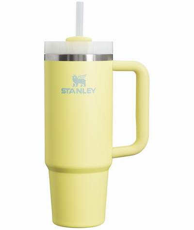 Stanley 史丹利黑五大促,精选网红保温杯5折起+部分款额外8折!吸管杯低至.5、封面款粉杯.5!