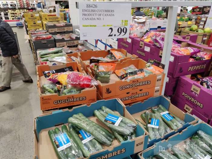 独家!【加东版】Costco店内实拍,有效期至11月9日!冷冻白虾.99、NBA卫衣.99、春节夜灯摆件.99、电火锅.99、保鲜盒.99、鲭鱼减、葡萄籽油.99、Roland电钢琴9.99!