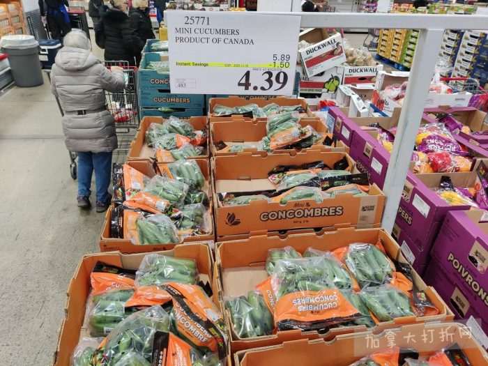 独家!【加东版】Costco店内实拍,有效期至11月16日!烟熏三文鱼.99、防水雪地靴.97、麻将.97、戴森洗地机9.99、鲜虾减、瑞士莲巧克力.99、胶原蛋白片.99!