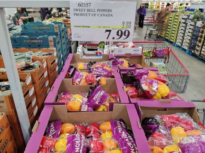 独家!【加东版】Costco店内实拍,有效期至11月16日!烟熏三文鱼.99、防水雪地靴.97、麻将.97、戴森洗地机9.99、鲜虾减、瑞士莲巧克力.99、胶原蛋白片.99!