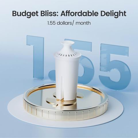 AQUA CREST 替换滤芯6件套 25.64加元(原价 29.99加元)