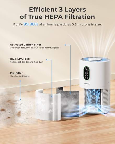 历史新低!WESTHEY H13 True HEPA 大空间空气净化器4.4折 65.99加元包邮