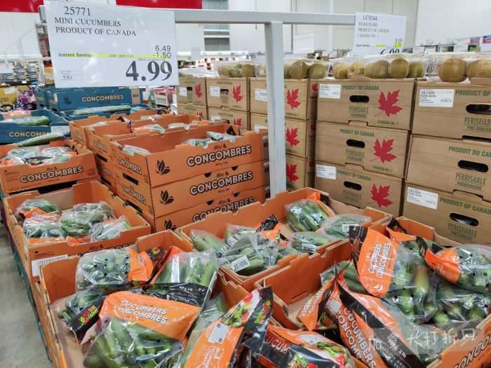 独家!【加东版】Costco黑五预售,有效期至11月23日!iPhone月供+送0、乐高行李箱.99、软骨素.99、汤米防寒服.99、沙梨.99、咸鸭蛋.99、青口减、透明鞋盒.99!