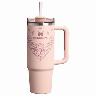 Stanley 史丹利黑五大促,精选网红保温杯5折起+部分款额外8折!吸管杯低至.5、封面款粉杯.5!