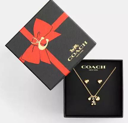 白菜价!Coach奥莱 精美首饰项链3折起+额外7.5折!入项链、耳环、三环项链.25、手表7!