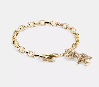 白菜价!Coach奥莱 精美首饰项链3折起+额外7.5折!入项链、耳环、三环项链.25、手表7!