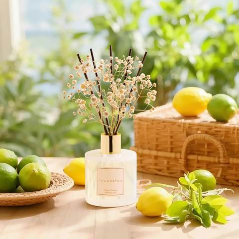 Cocorrína 6.7盎司清新洁净亚麻香氛套装 29.99加元