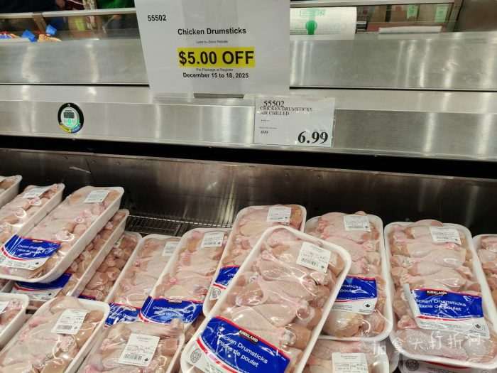 独家！【加东版】Costco店内实拍，有效期至12月21日！iPhone16月供、大龙虾减、阿迪鞋.99、蝴蝶虾.99、电火锅.99、折叠桌.99、折叠椅.99、化妆镜.99！