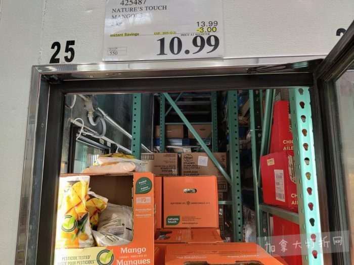 独家！【加东版】Costco店内实拍，有效期至12月21日！iPhone16月供、大龙虾减、阿迪鞋.99、蝴蝶虾.99、电火锅.99、折叠桌.99、折叠椅.99、化妆镜.99！