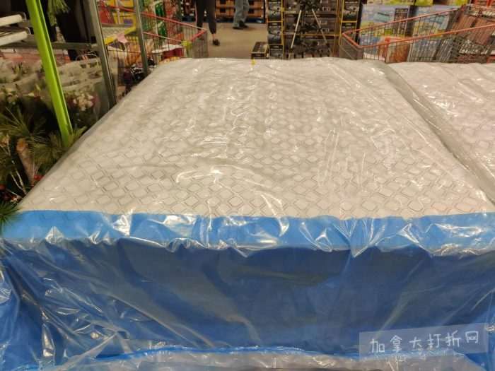 独家！【加东版】Costco节礼周实拍，有效期至12月28日！iPhone零月供、羽毛枕.99、阿迪鞋.99、罗非鱼5折、工装靴.97、斑点虾.99、什锦干果.99、保暖马甲.97、玉兰油全效.99！