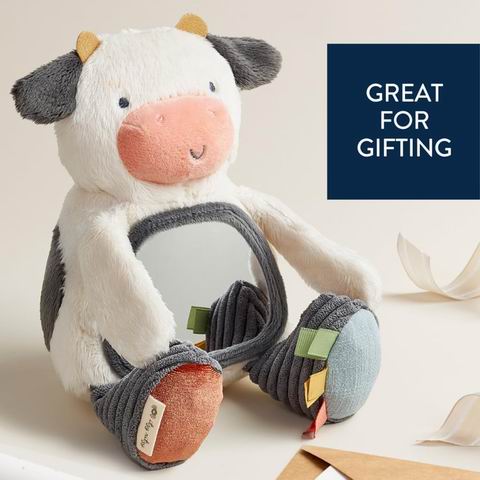  Itzy Ritzy 感官趴卧玩具镜 14.99加元（原价 19.99加元）