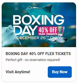 Ripley's Aquarium 多伦多水族馆门票限时6折!仅限今日!