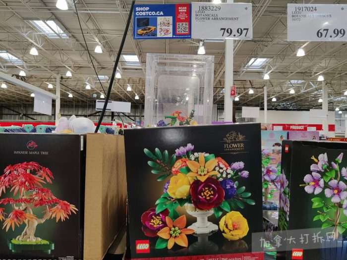 独家！【加东版】Costco店内实拍，有效期至1月4日！iPhone 17零月供、火锅牛肉.49、印尼对虾.99、滑雪橇.99、毛毛夹克.97、垃圾桶.99、蛋白粉.99、Queen床垫9.99！